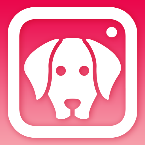 Dogcam - Dog Selfie Filters An - Apps On Google Play