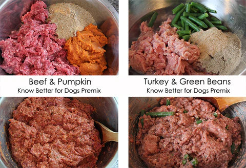 How To Make Homemade Dog Food - Know Better Pet Food