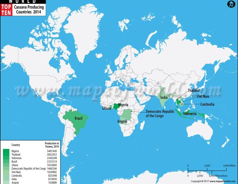 Top Ten Cassava Producing Countries Map