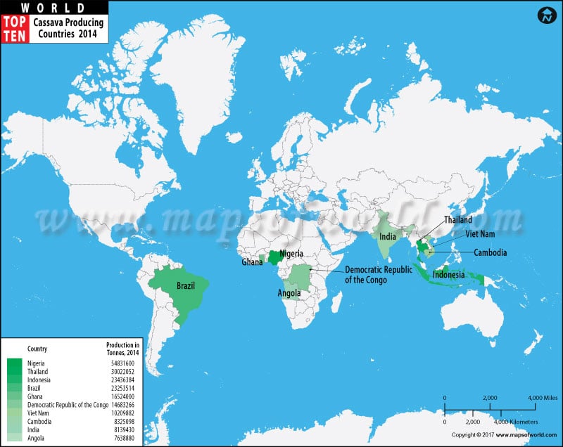 Top Ten Cassava Producing Countries Map