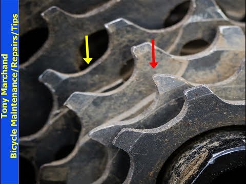 How To Check For Bicycle Cassette Cog Wear And When To Replace Cassette -  Youtube