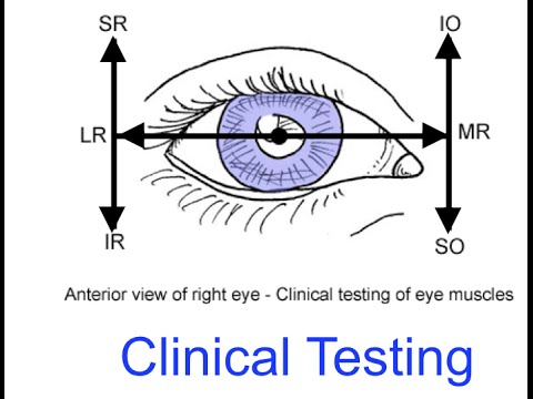 Clinical Testing Extraocular Muscles Tutorial - Youtube