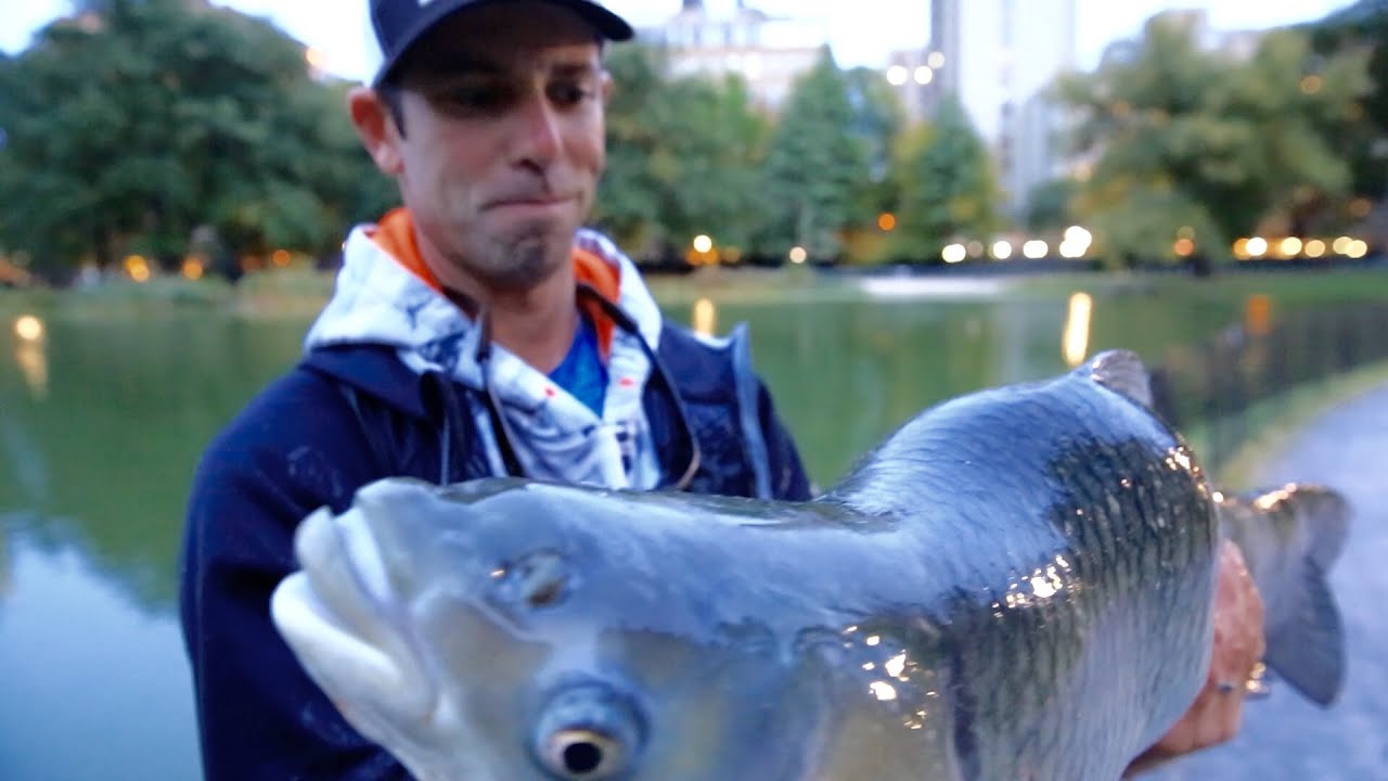 Going Ike!!! Bank Fishing In Central Park - Part 2 (Ep. #8) - Youtube