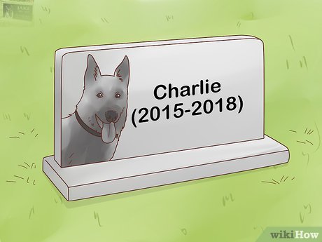3 Ways To Bury A Pet - Wikihow